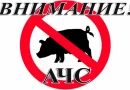 Решение по африканской чуме.