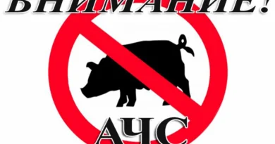 Решение по африканской чуме.