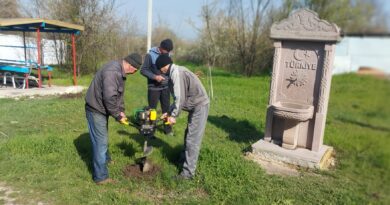 Примэрия села Казаклия совместно с отделом по благоустройству и работниками детского оздоровительного лагеря «Олимпия» высадили на территории лагеря сеянцы и саженцы в количестве 400 штук, так же ведутся работы по благоустройству и озеленению на территории центрального сельского парка. Планируется посадка сеянцев и саженцев и на других территориях села.